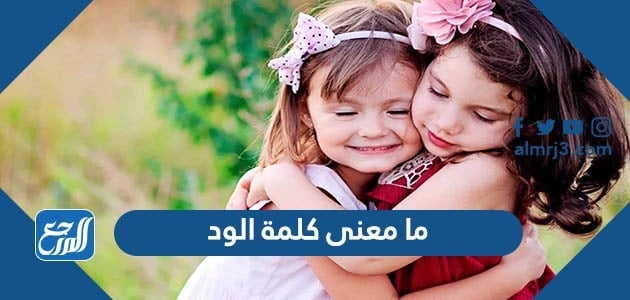 ما معنى كلمة الود