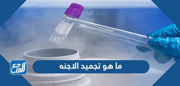 ما هو تجميد الاجنه
