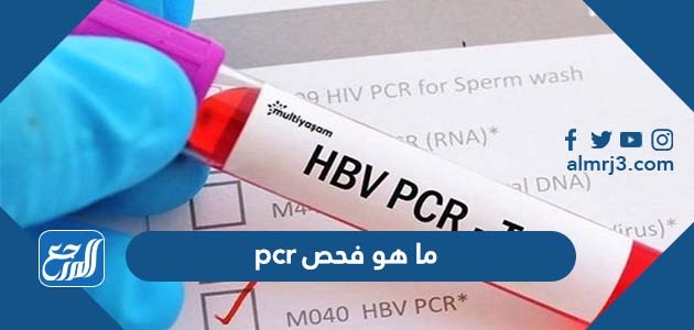 ما هو فحص PCR