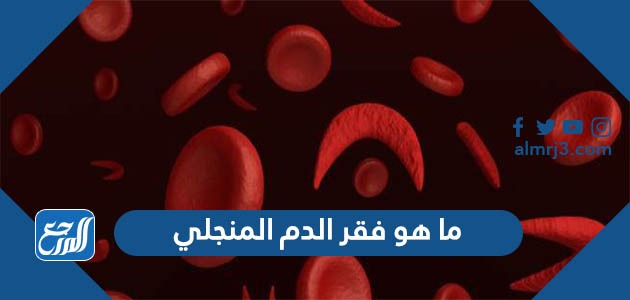 على تساعد الدم خلوية أجزاء تجلط أجزاء خلوية