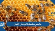 ما هي طريقة تواصل النحل