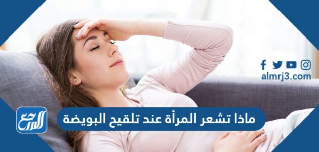 ماذا تشعر المرأة عند تلقيح البويضة