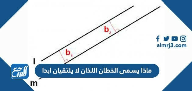 ماذا يسمى الخطان اللذان لا يلتقيان ابدا