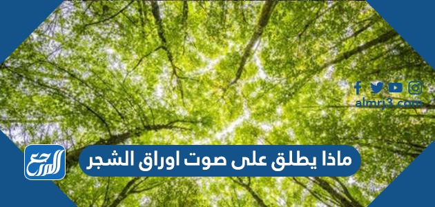 ماذا يطلق على صوت اوراق الشجر