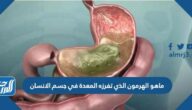 ماهو الهرمون الذي تفرزه المعدة في جسم الإنسان
