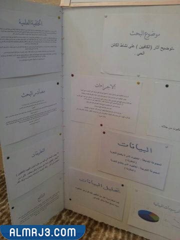 المشاريع الاستقصائية