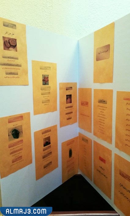 المشاريع الاستقصائية