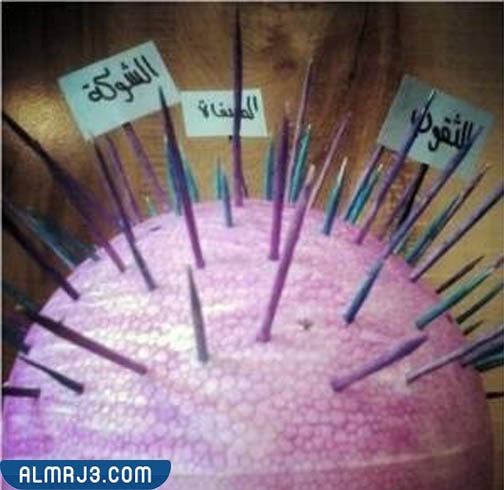 مشروع الخامات البيئية