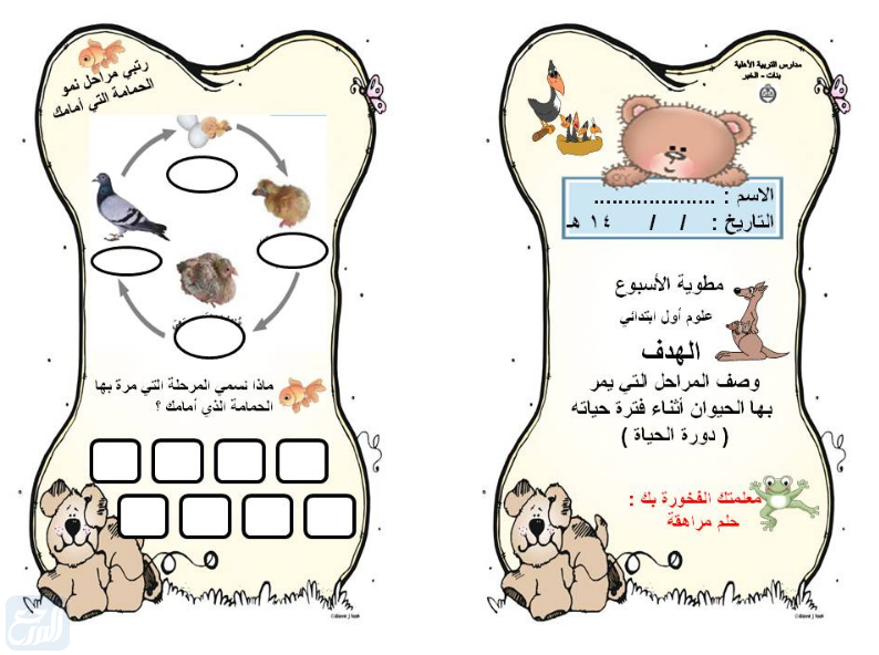 مطويات جاهزة للعلوم 1443