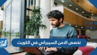 معلومات عن تخصص الامن السيبراني في الكويت