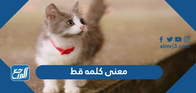 معنى كلمه قط