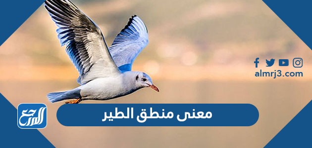 معنى منطق الطير