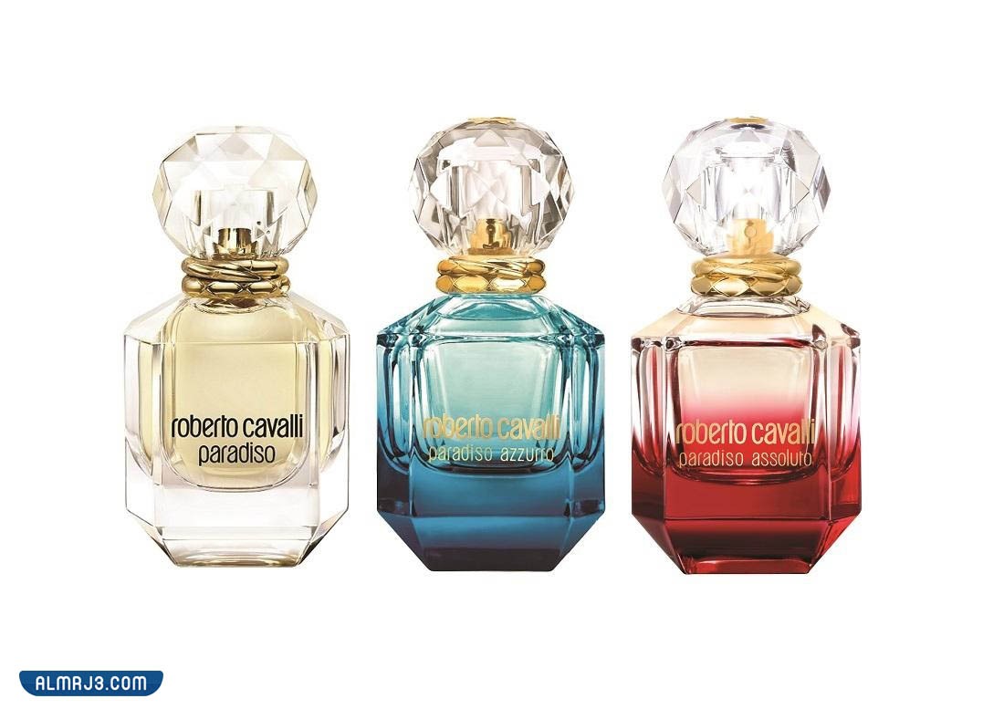 مكونات عطر روبرتو كفالي باراديسو