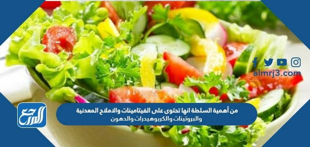 من أهمية السلطة انها تحتوى على الفيتامينات والاملاح المعدنية والبروتينات والكربوهيدرات والدهون