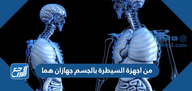 من اجهزة السيطرة بالجسم جهازان هما