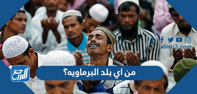 من اي بلد البرماويه؟