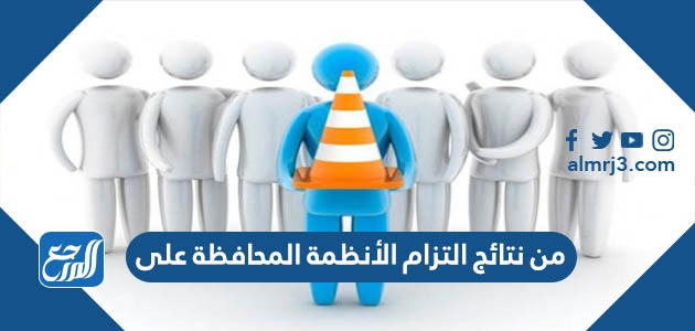 تعالج الأنظمة واللوائح الكثير من المشكلات المجتمعية.