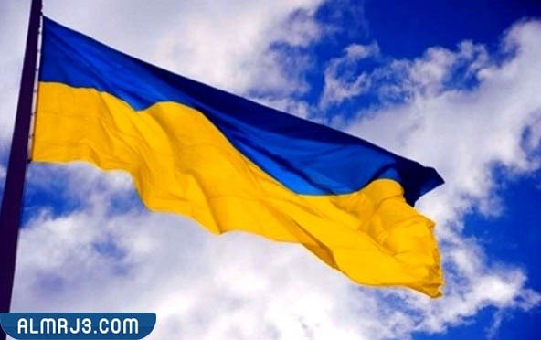 من هم حلفاء أوكرانيا ضد روسيا