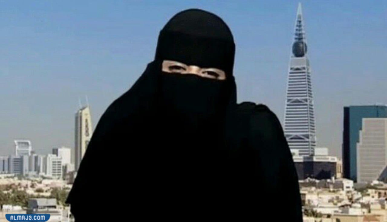 من هي شيمي ويكيبيديا