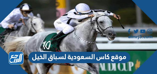 موقع كاس السعودية لسباق الخيل