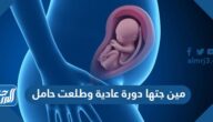 مين جتها دورة عادية وطلعت حامل