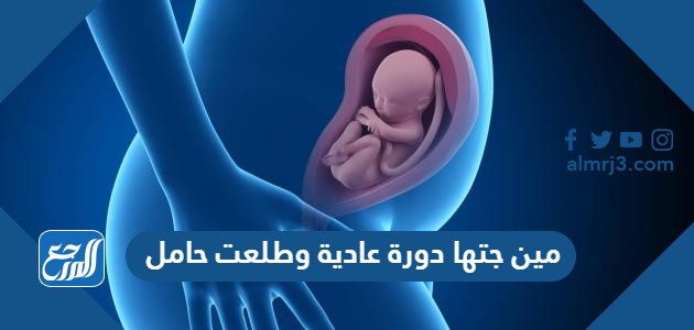 مين جتها دورة عادية وطلعت حامل