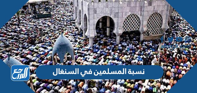 نسبة المسلمين في السنغال