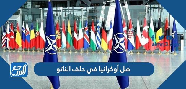هل أوكرانيا في حلف الناتو