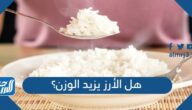 هل الأرز يزيد الوزن؟