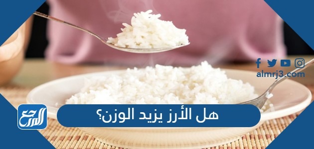 هل الأرز يزيد الوزن؟