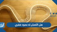هل الثعبان له عمود فقري