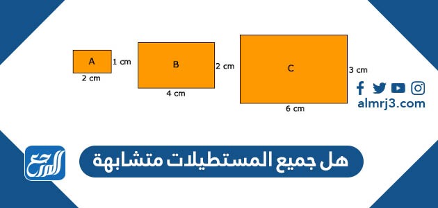 هل جميع المستطيلات متشابهة
