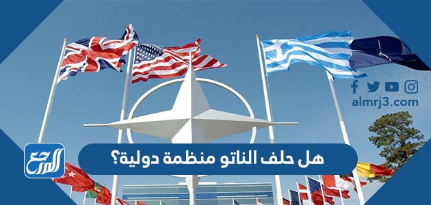 هل حلف الناتو منظمة دولية؟