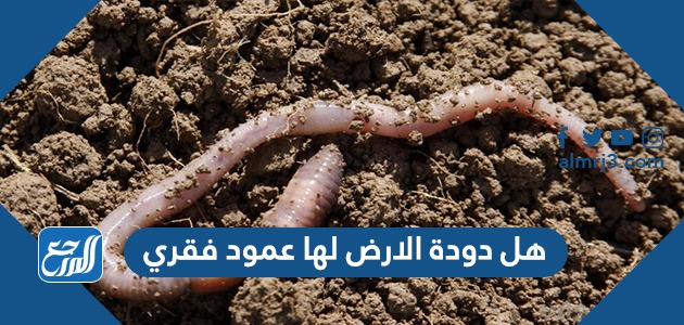 هل دودة الارض لها عمود فقري