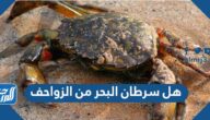 هل سرطان البحر من الزواحف