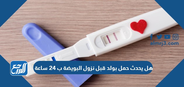 هل يحدث حمل بولد قبل نزول البويضة ب 24 ساعة