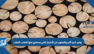يعتبر شجر الأرز والصنوبر من الأشجار التي يستخرج منها الخشب الصلب