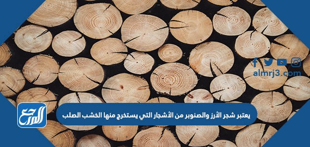 يعتبر شجر الأرز والصنوبر من الأشجار التي يستخرج منها الخشب الصلب