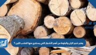 يعتبر شجر الزان والبلوط من أهم الأشجار التي يستخرج منها الخشب اللين ؟