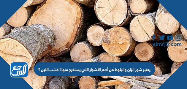 يعتبر شجر الزان والبلوط من أهم الأشجار التي يستخرج منها الخشب اللين ؟