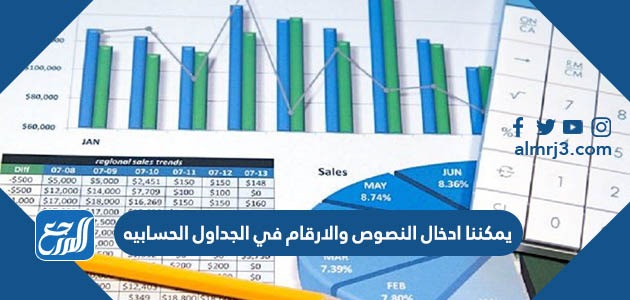 يمكننا اضافه ايقونه او صورة الى الجداول الحسابيه