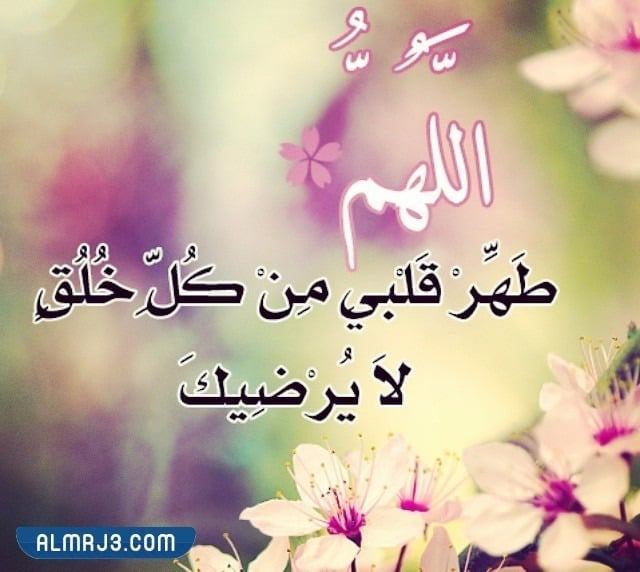 تغريدات دينية مؤثرة تويتر