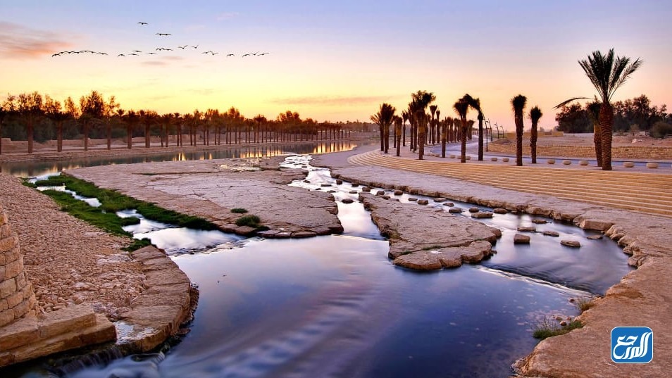 معلومات عن وادي الرمة