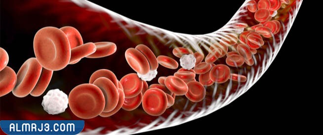 كم عدد خلايا الحمراء التي تنتجها الجسم في اليوم الواحد