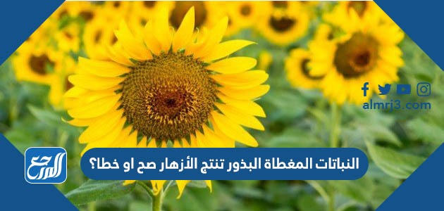 النباتات المغطاة البذور تنتج الأزهار صح او خطا؟