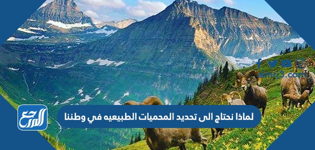 لماذا نحتاج الى تحديد المحميات الطبيعيه في وطننا