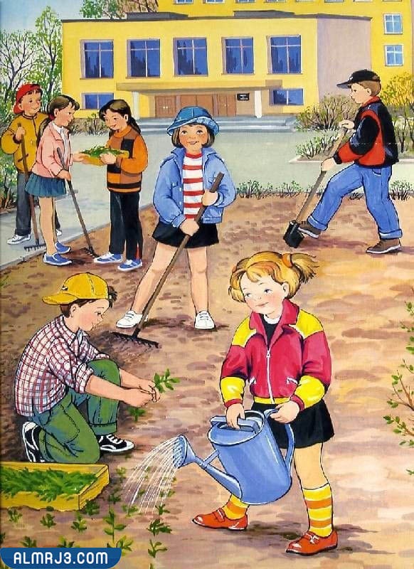 صور معبرة عن التعاون