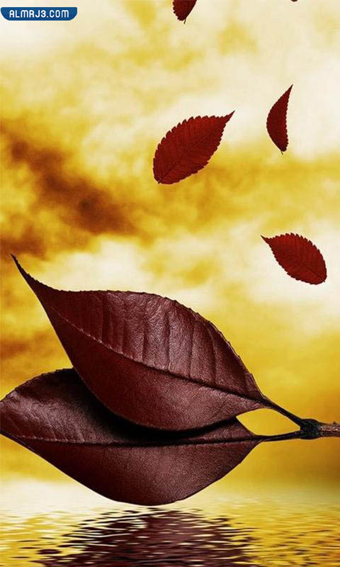 أجمل خلفيات فخمه بجودة عالية HD و 4K