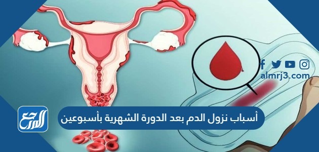 أسباب نزول الدم بعد الدورة الشهرية بأسبوعين