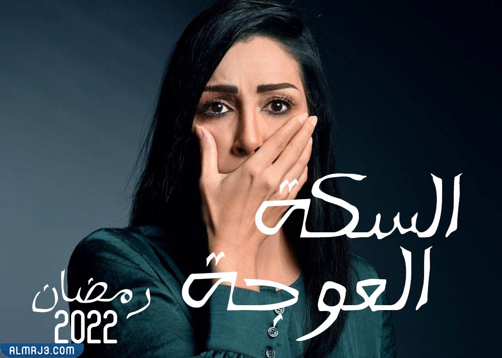 قصة مسلسل السكة العوجة